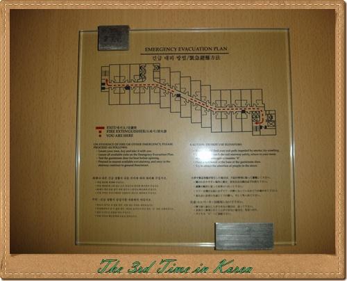 DSC02225.JPG